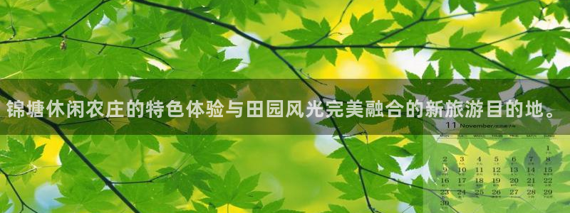 天顺娱乐手机版