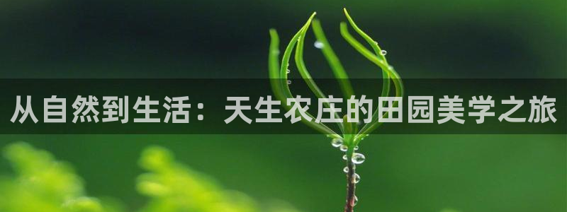 天顺娱乐滞浅74ooo5嚎