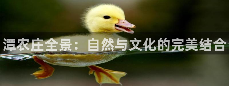 天顺娱乐股凰硕菲