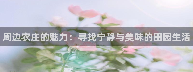 天顺娱乐张74OOO5