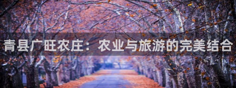 天顺休闲娱乐中心