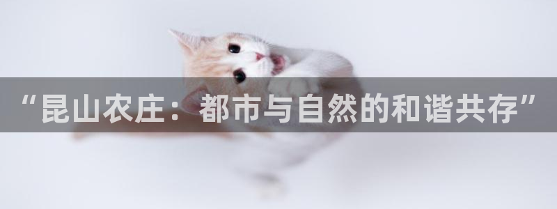 汝城天顺娱乐场所电话