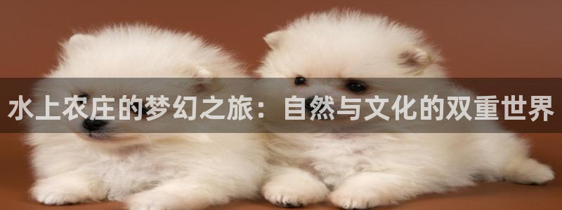 天顺娱乐支q96303