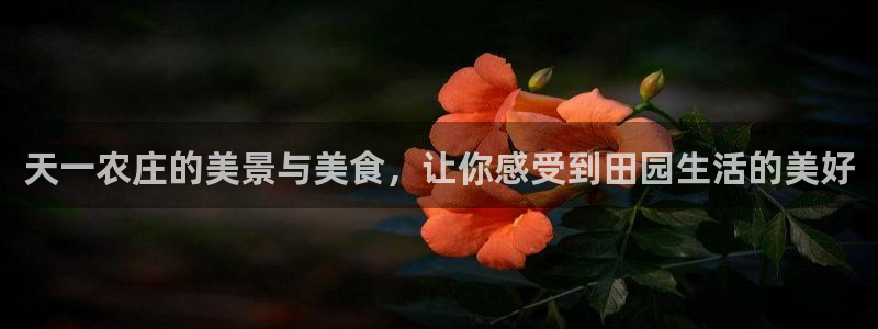 天顺娱乐扌675138