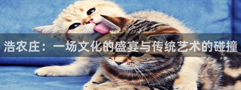 天顺娱乐q96303