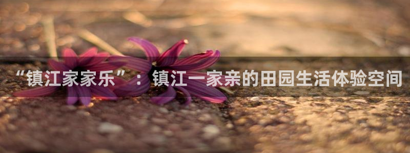 天顺娱乐主管方是谁呀