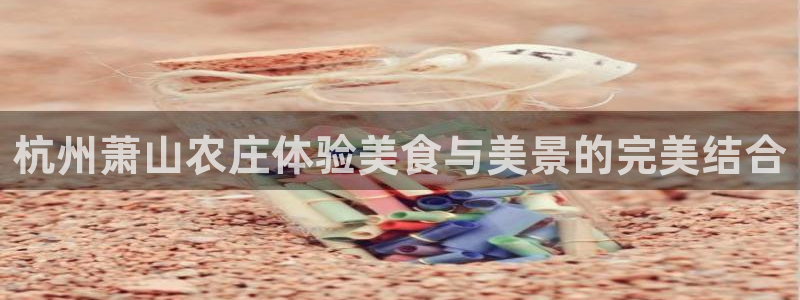 天顺娱乐棋牌怎么样啊