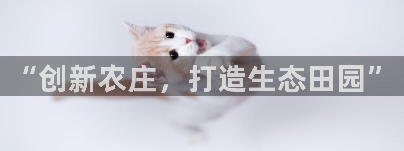 天顺娱乐段18 888