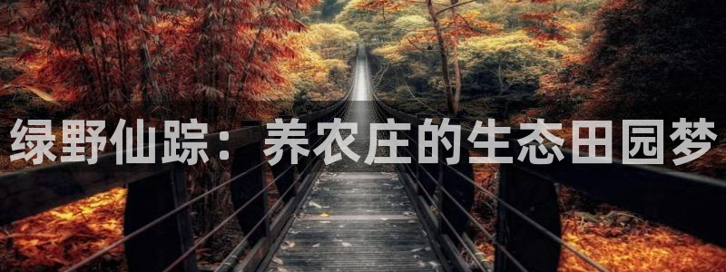 天顺娱乐瞬99 40赌