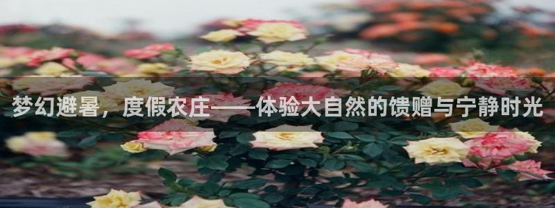 天顺娱乐主管没