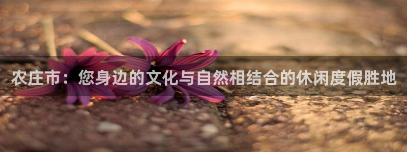 天顺娱乐寸v96303