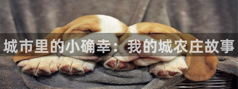 天顺娱乐官方下载