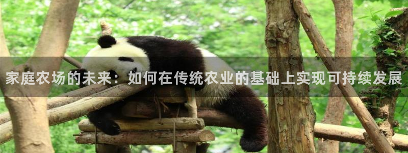 天顺娱乐木q96303