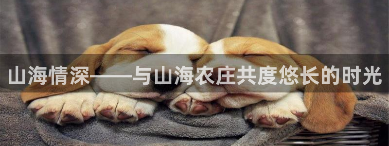 天顺娱乐f675138