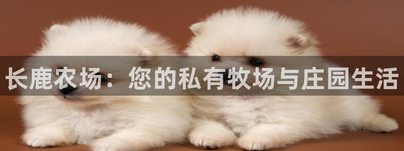 天顺娱乐张74OOO5