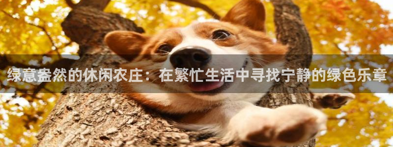 天顺娱乐兄78778