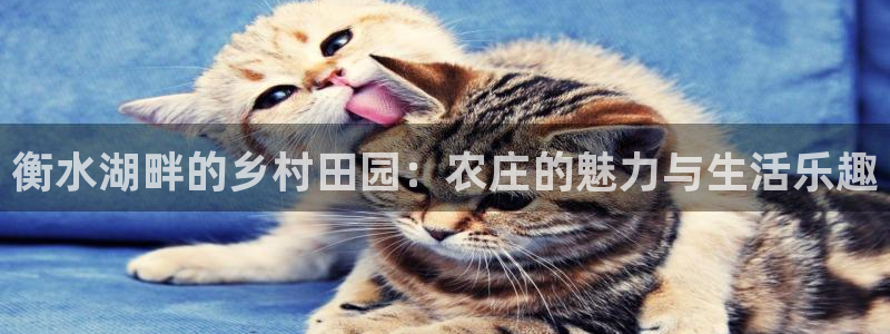 娱乐聊天顺口溜怎么说的