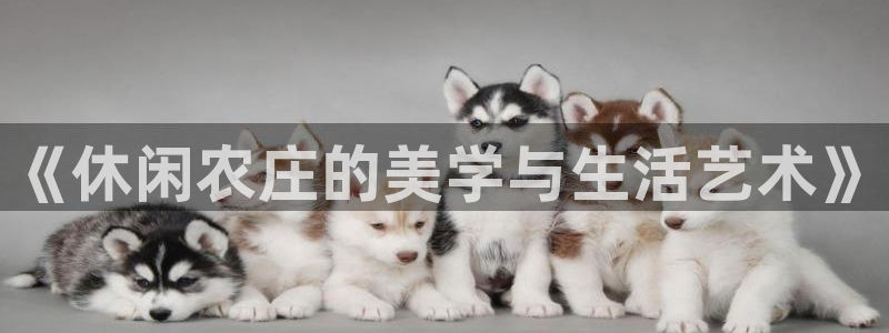 天顺娱乐女还pg22650