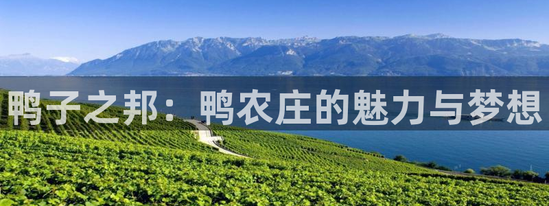 天顺娱乐铰943994
