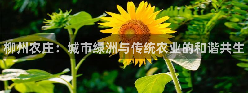 天顺娱乐陈32oo59