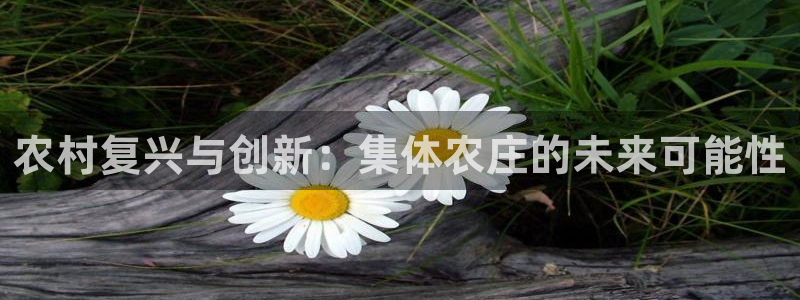 天顺娱乐放72182