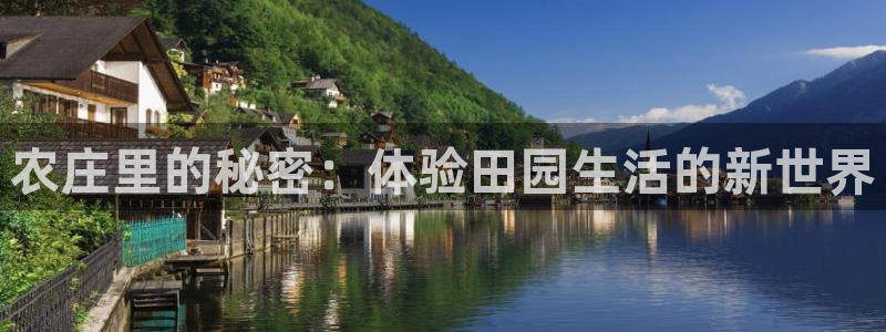 天顺娱乐负责人风领pg29999