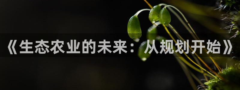 天顺娱乐董事51828