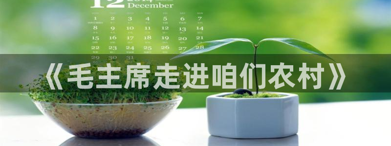 天顺娱乐T条29999