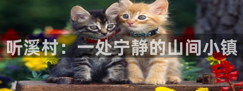 天顺娱乐q徽53339