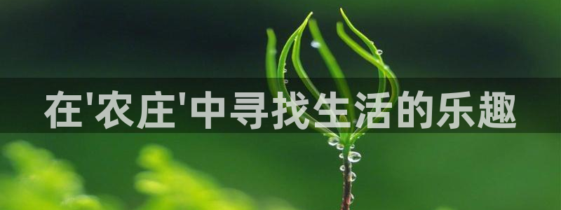 天顺娱乐糸疋55312