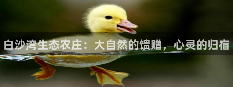 天顺娱乐 诚信p官58856