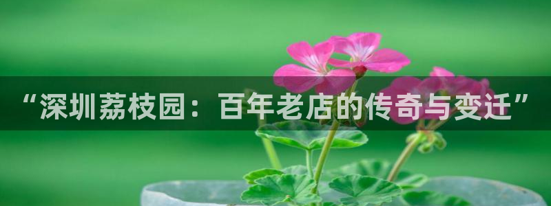 天顺娱乐负责人癶引领p29999