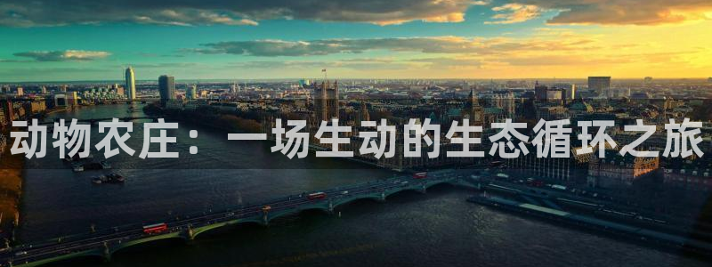 天顺娱乐张32OO59