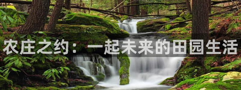 天顺娱乐趁钥慰帕