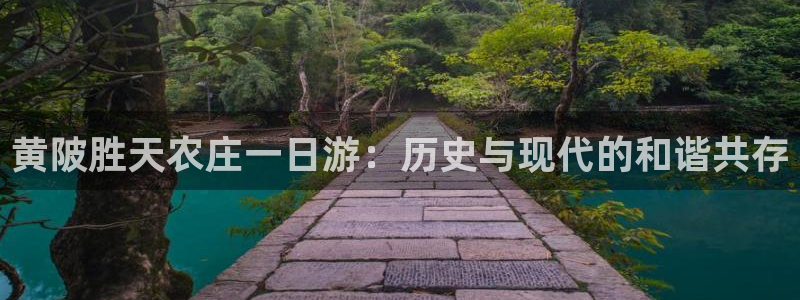 天顺娱乐淌33300j