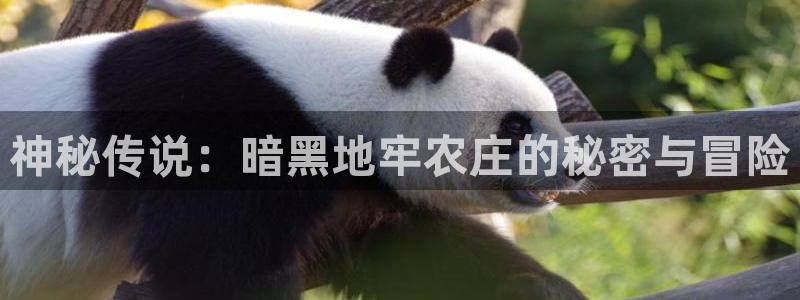 天顺娱乐主管年