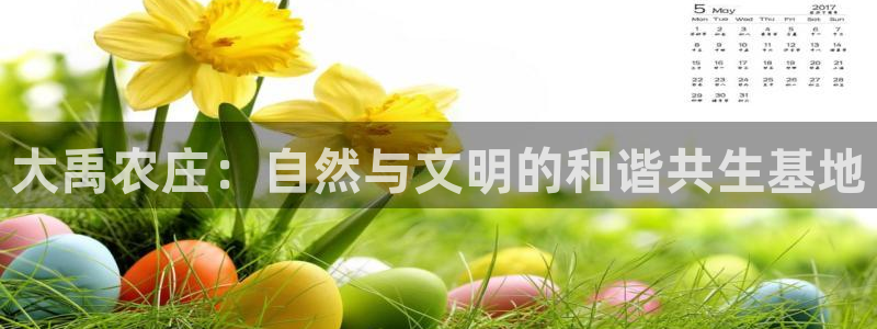 天顺娱乐测速官网入口