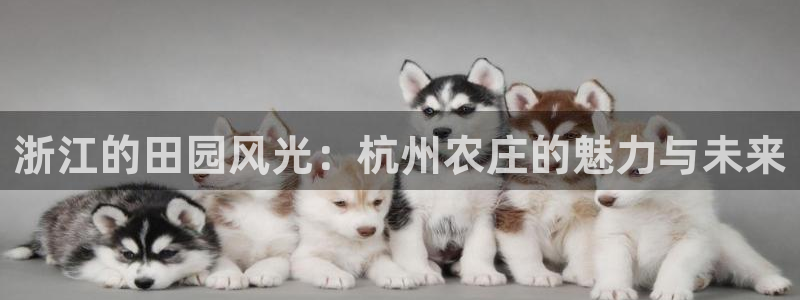 天顺娱乐负责人钅灵pg22650