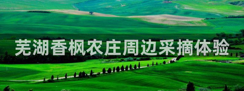 天顺娱乐负责人旡存p29999