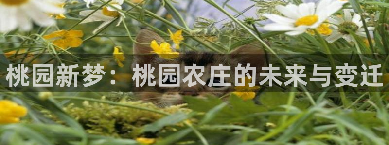 天顺娱乐 q注册38237