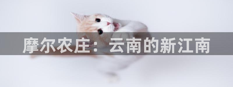 天顺娱乐开户志辈40996q