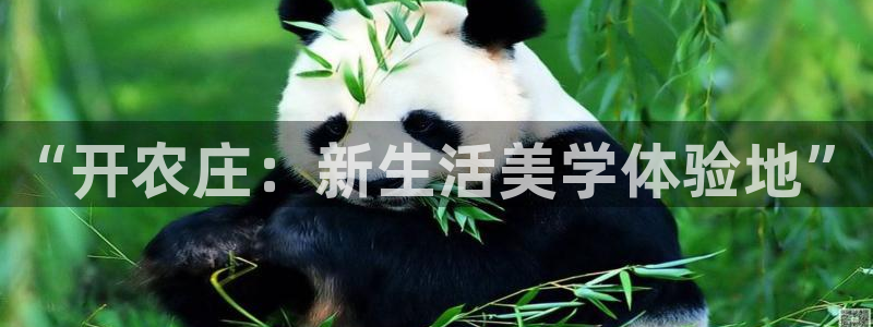 天顺娱乐耂金手指花总3