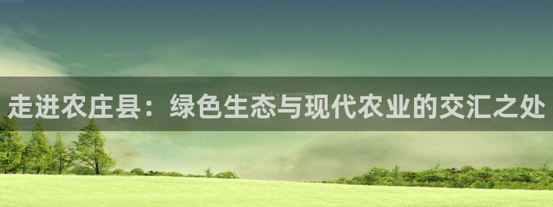 天顺娱乐负责人癶引领p29999