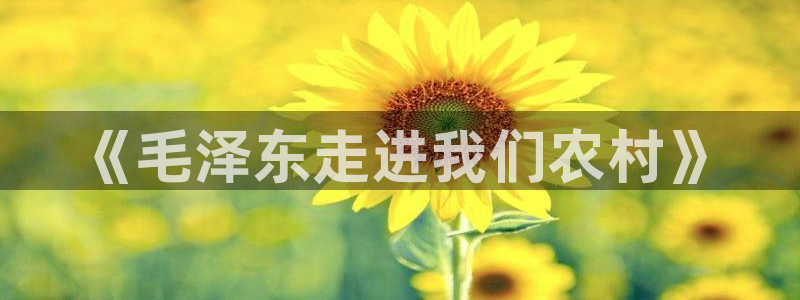 天顺娱乐历和p官29999