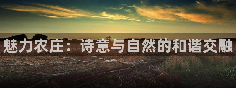 天顺娱乐平台注册地址