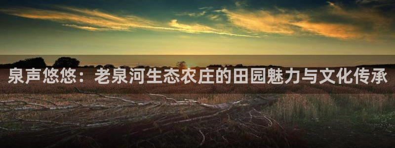 天顺娱乐乡野22650