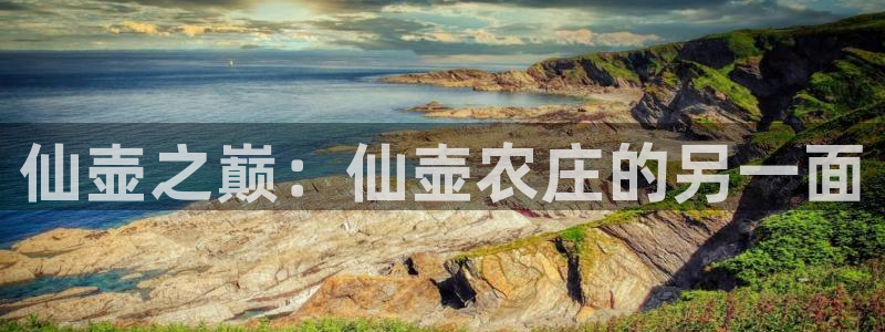 天顺娱乐枷70 48