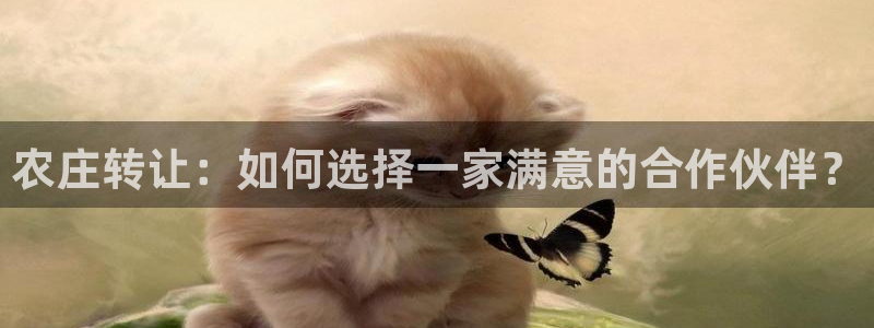 天顺娱乐主管年薪多少钱