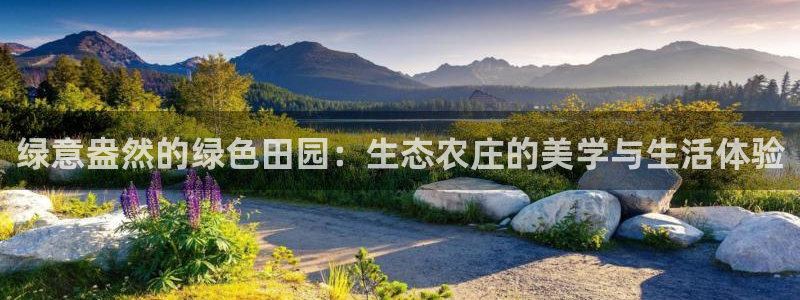 天顺娱乐负责人鱼历pg29999