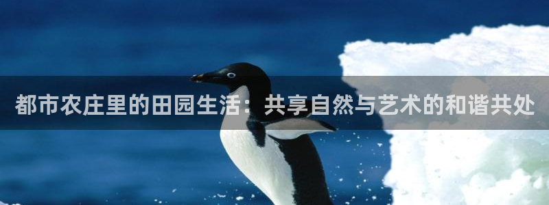 天顺娱乐登录地址